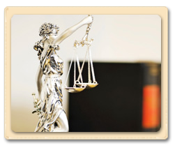 Commercial Law & Transactions Attorney
